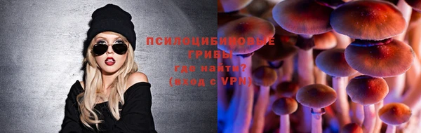 молекула духа Покачи