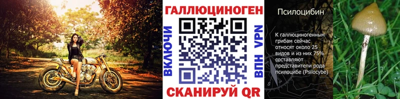 это какой сайт Арсеньев Псилоцибиновые грибы ЛСД купить закладку