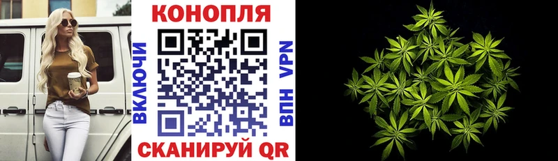 купить наркотик  Арсеньев  МАРИХУАНА план 